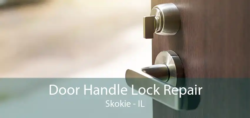 Door Handle Lock Repair Skokie - IL