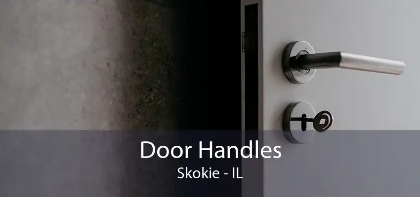 Door Handles Skokie - IL