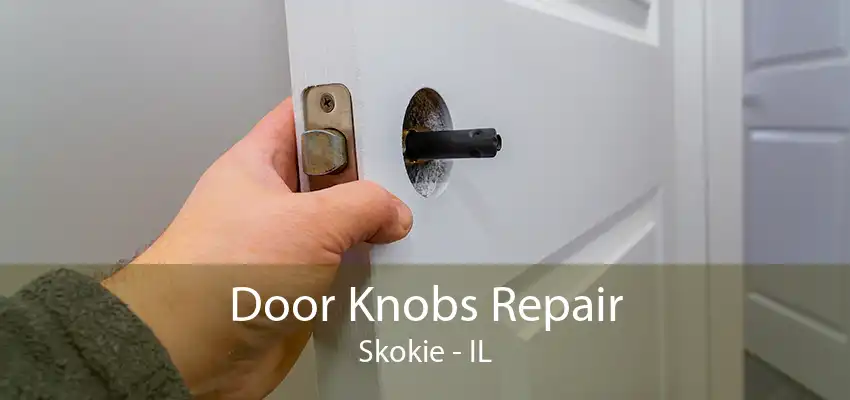 Door Knobs Repair Skokie - IL