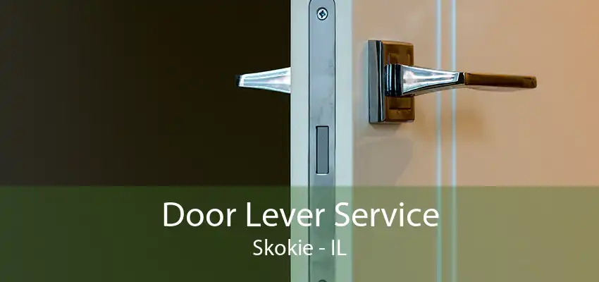 Door Lever Service Skokie - IL