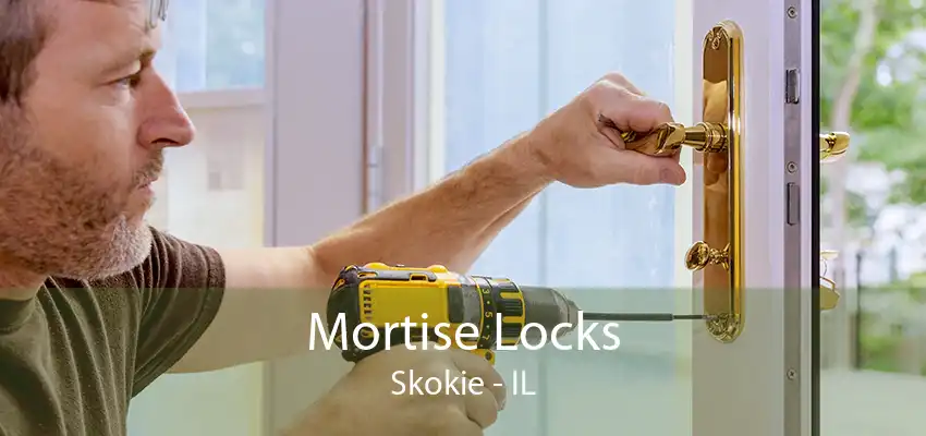 Mortise Locks Skokie - IL