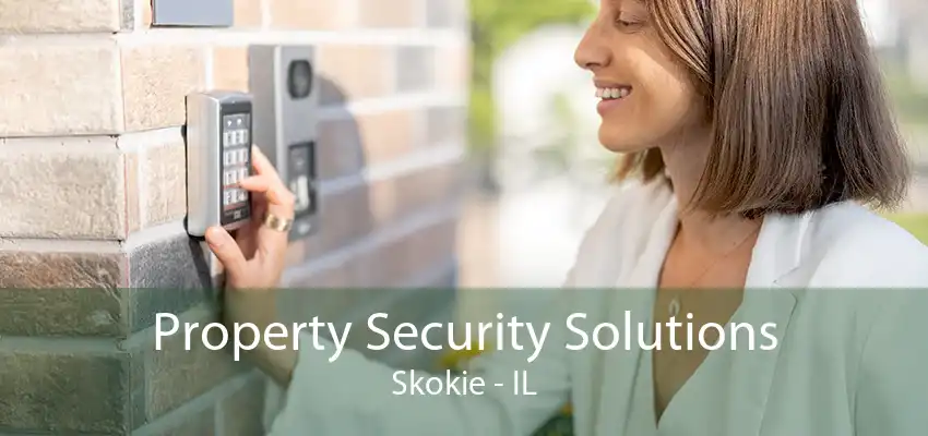 Property Security Solutions Skokie - IL