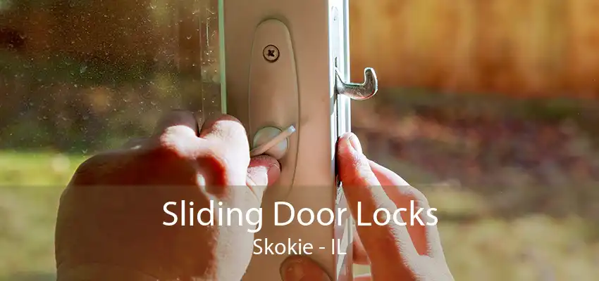 Sliding Door Locks Skokie - IL