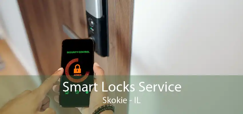 Smart Locks Service Skokie - IL